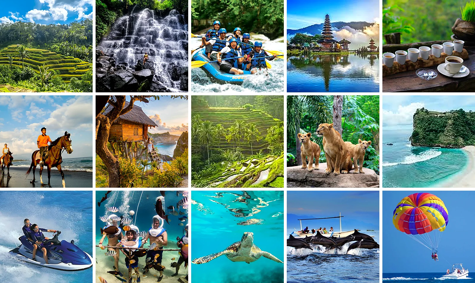 Bali activities: rice terraces, waterfalls, rafting, temples, horse riding, snorkelling, dolphins and parasailing